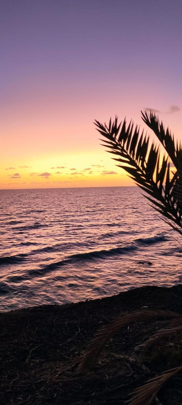 فندق Casa Mamre ماسبالوماس المظهر الخارجي الصورة